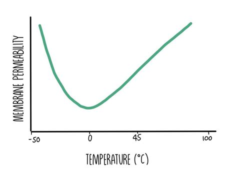 temperature effect on membrane permeability